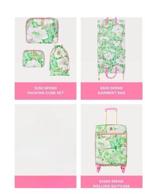 Lilly Pulitzer Green and Pink Travel Bag Set